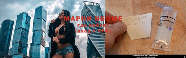 таблы Новозыбков