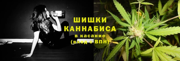спиды Нея
