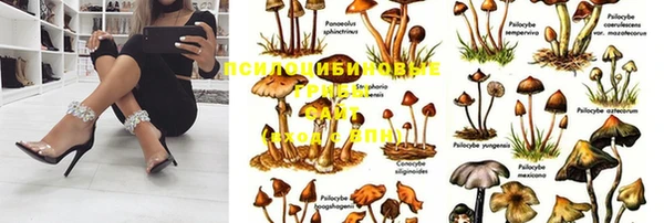 не бодяженный Новокубанск