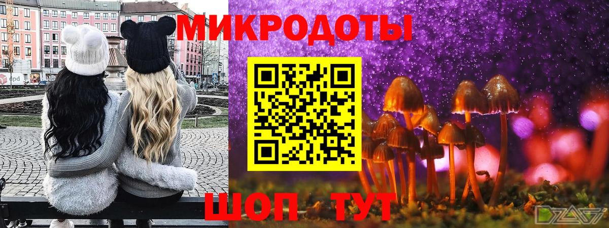Галлюциногенные грибы Psilocybine cubensis Алексин