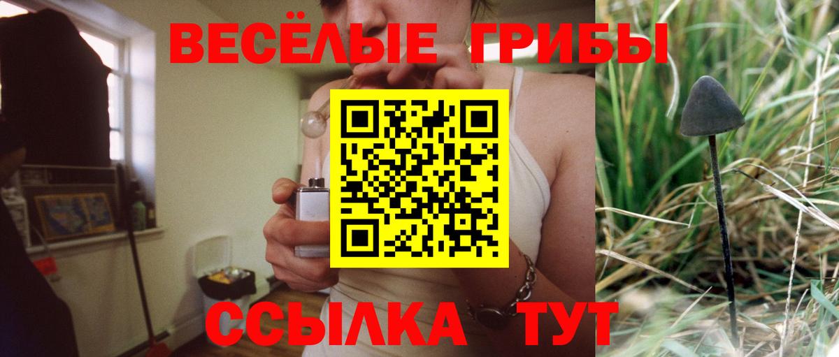 Галлюциногенные грибы Magic Shrooms  сколько стоит  Галлюциногенные грибы прущие грибы  Алексин 